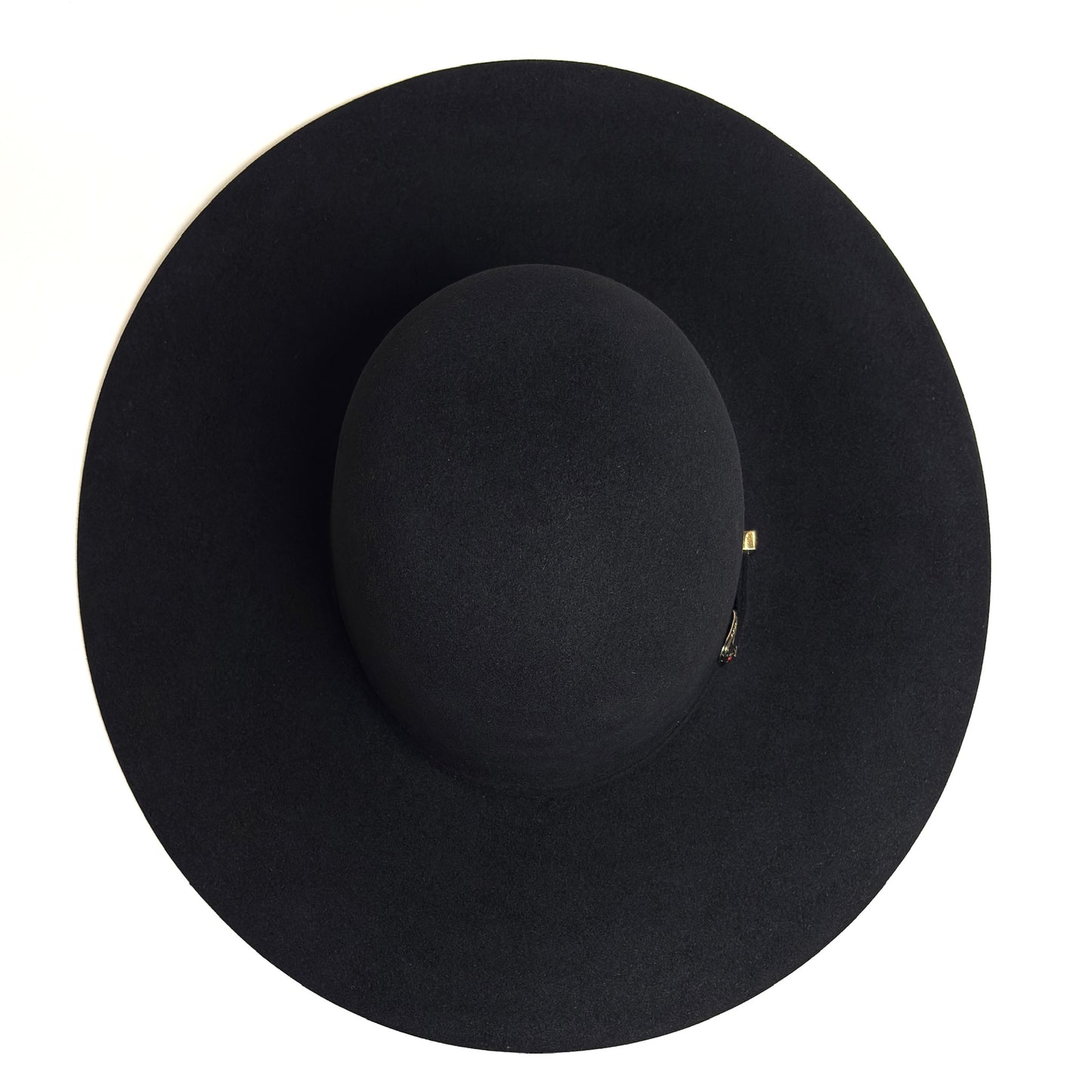 Texana DBC Pelo de Conejo Azabache